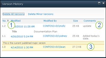 Version history that shows major and minor versions and comments