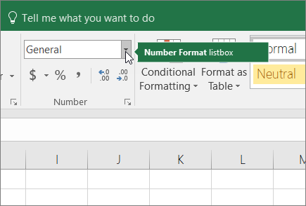 Number Format list box