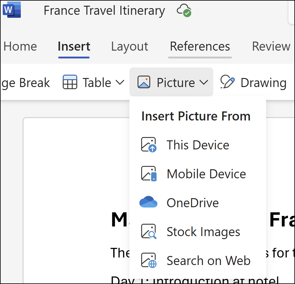 Insert Picture in Word Online