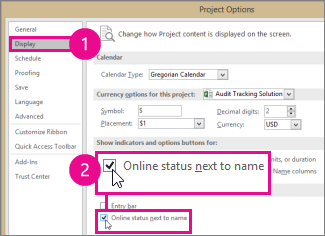 Project Options, Display tab