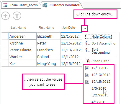 Filtering a column in a query in an Access app.
